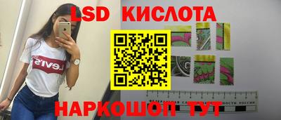 PSILOCYBIN Гудермес